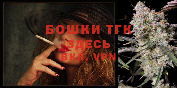 дурь Сатка