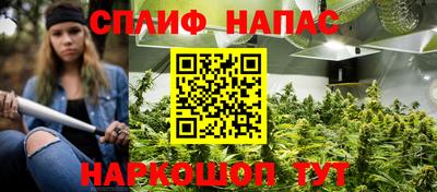индика Малоярославец