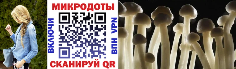omg онион  Славгород  Псилоцибиновые грибы ЛСД  купить наркотики сайты 