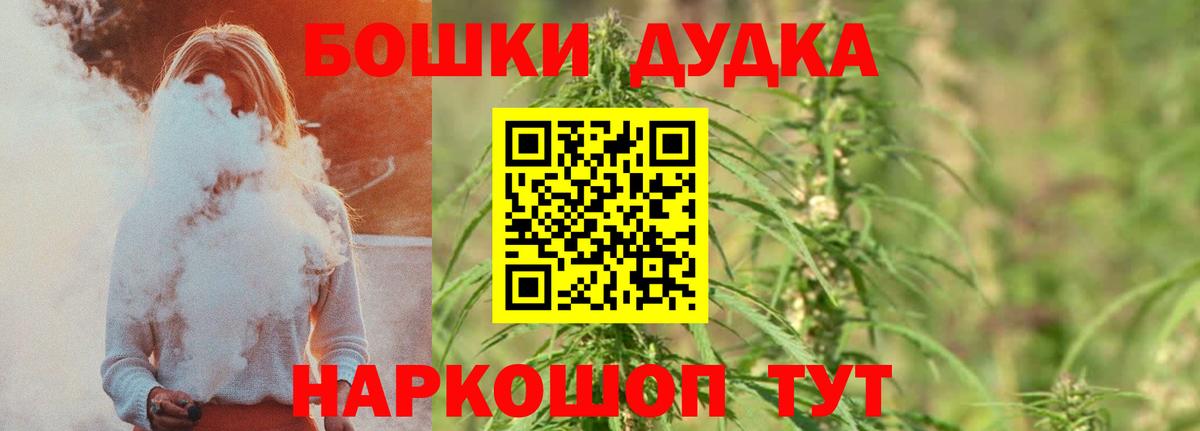 Бошки марихуана марихуана  МАРИХУАНА план  Славгород  Канабис план  Конопля план  Вход с VPN 